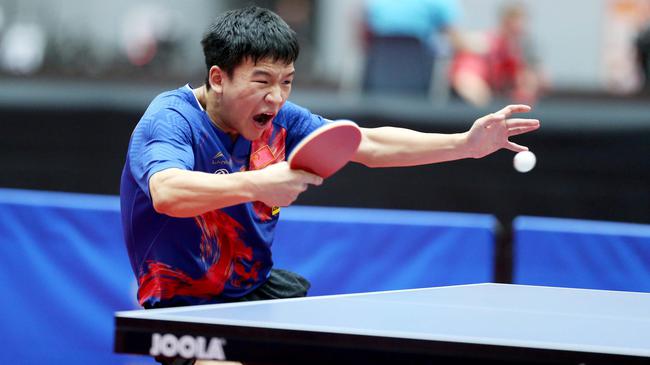 车手与车队 车手与车队